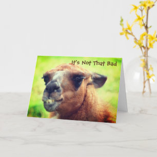 Arg Llama Humous ännu en födelsedag Kort