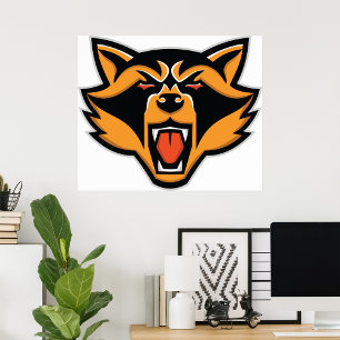 Arg Raccoon Ansikte Poster