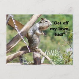 Arg Squirrel Vykort