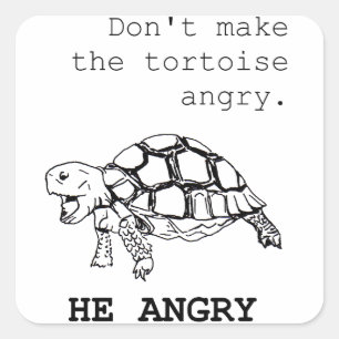 Arg Tortoise Fyrkantigt Klistermärke