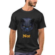 Arga kattnågot att säga inte! Rolig katt