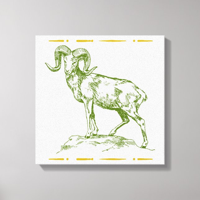 Argali Canvastryck (Framsida)