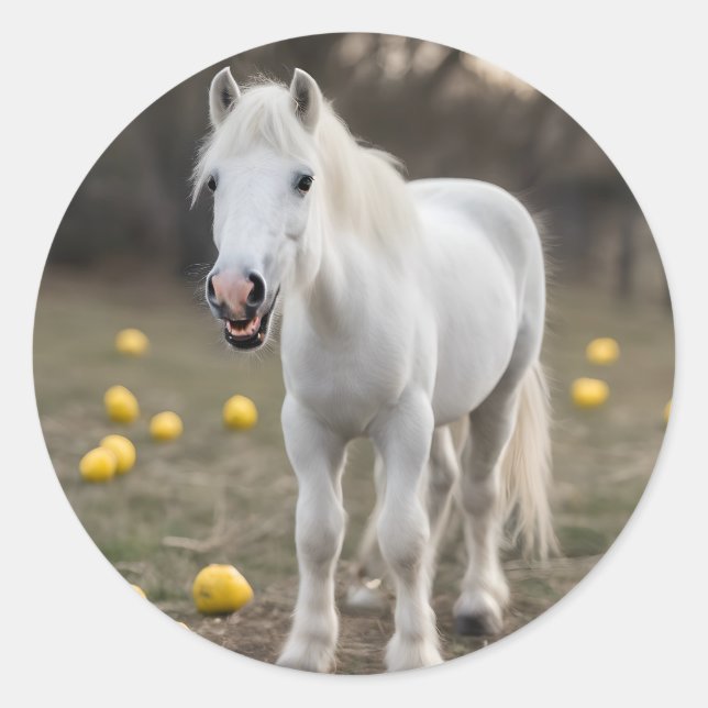 Argen Mini Runt Klistermärke (Framsida)