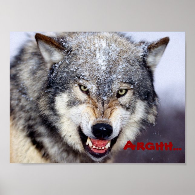 argens varg poster (Framsidan)