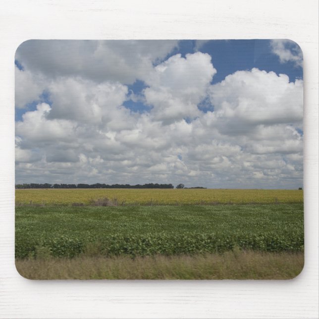Argentina, Buenos Aires, San Antonio de Areco. Musmatta (Framsidan)