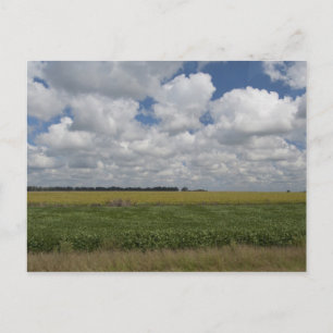 Argentina, Buenos Aires, San Antonio de Areco. Vykort