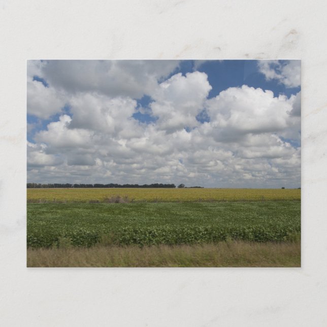 Argentina, Buenos Aires, San Antonio de Areco. Vykort (Framsida)