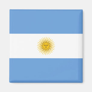 Argentina flaggamagnet magnet