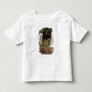 Argentina, Iguazú, Iguazúfallen. Salto Dos T Shirt