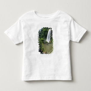 Argentina; Igwazu; Igwazu Falls. Salto Dos Tee Shirt