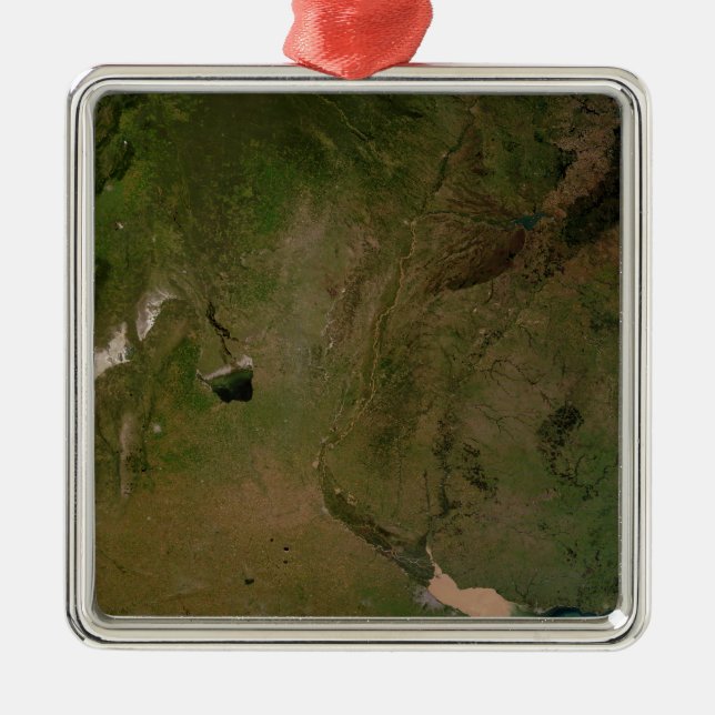 Argentina Julgransprydnad Metall (Framsidan)