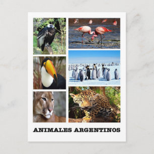 Argentina - Mosaico Animales Argentinos Vykort
