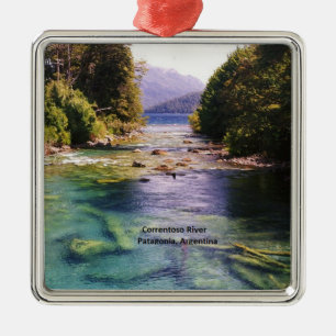 Argentina, Patagonien bra art ornament