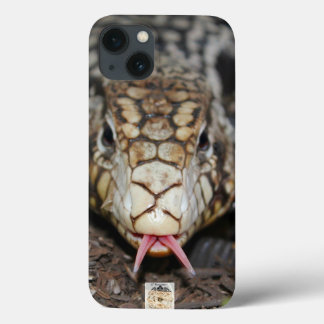 Argentine Tegu