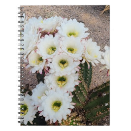 Argentinsk Cactus Flower Spiral-anteckningsbok Anteckningsbok