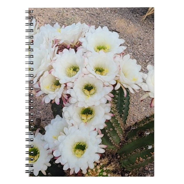 Argentinsk Cactus Flower Spiral-anteckningsbok Anteckningsbok (Framsidan)