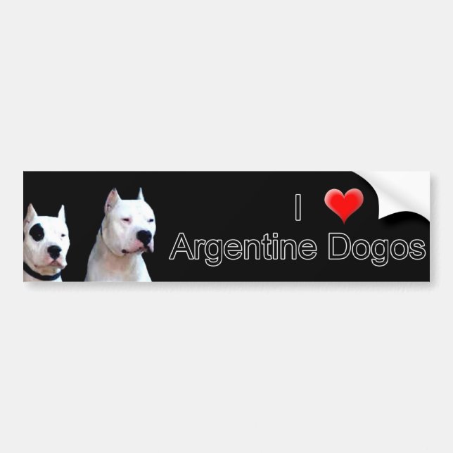 Argentinsk Dogo Bumper-dekal Bildekal (Framsidan)