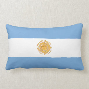 Argentinsk flagga lumbarkudde