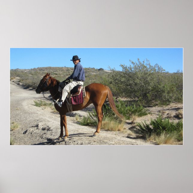Argentinsk Gaucho Poster (Framsidan)