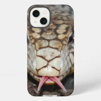 Argentinsk Tegu