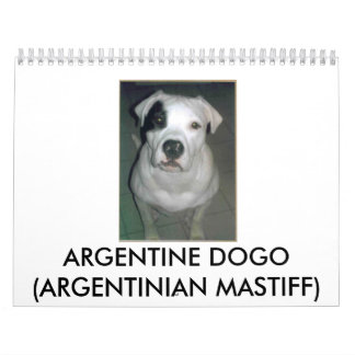 Argentinska Dogo Kalender