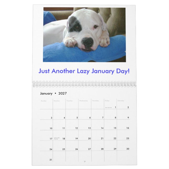 Argentinska Dogo Kalender (Jan 2027)