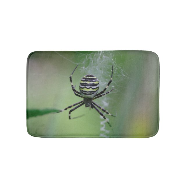 Argiope bruennichi badrumsmatta (Framsidan)