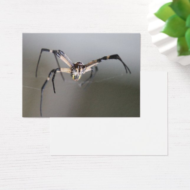 Argiope Spider Älskare Gift Visitkort (Skivbord)