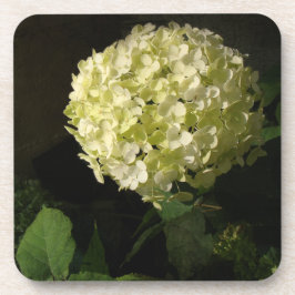 Argun Annabelle Hydrangea Bloom Underlägg