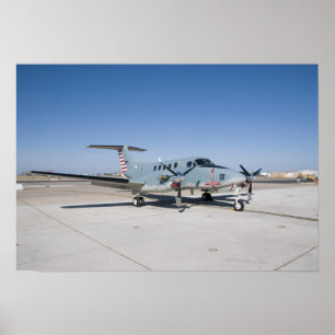 Århundraårsjubileet för marin luftfart poster