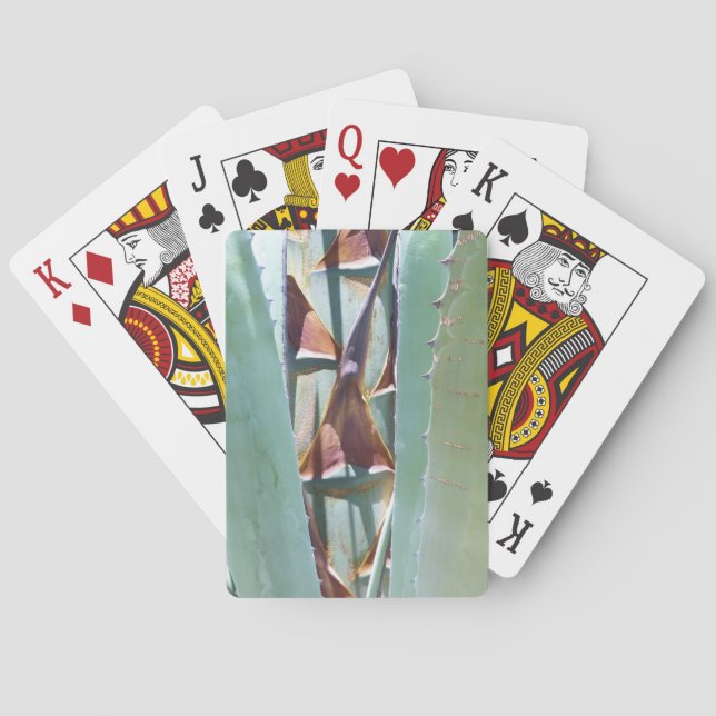 Århundrade eller Agave Casinokort (Baksidan)