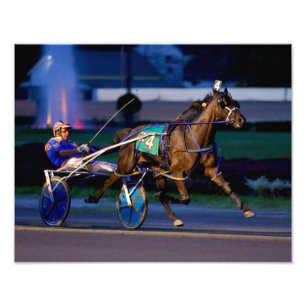 ÅRHUNDRADEAVOR FOTOTRYCK