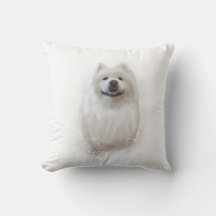 Ari the Samoyed-samlingen