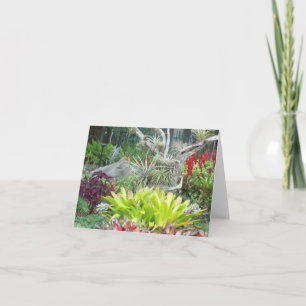 Arid Garden Photo-mappat anteckningskort