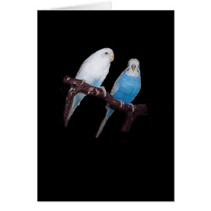 Ariel och Oscar budgiekort Hälsningskort