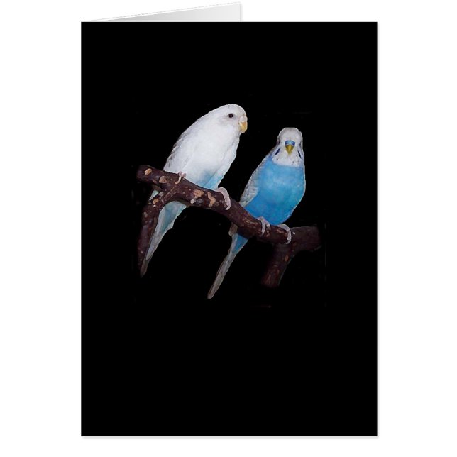 Ariel och Oscar budgiekort Hälsningskort (Framsidan)