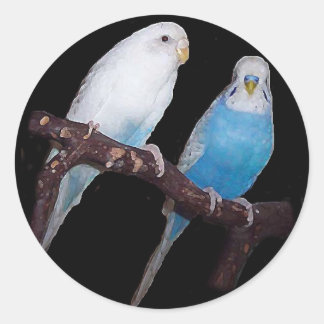 Ariel Oscar budgie-klistermärken Runt Klistermärke