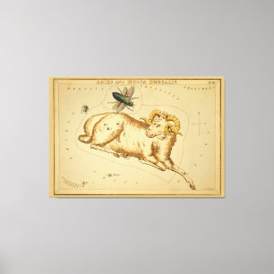 Aries and Musca - Vintage Sign of the Zodiac Image Canvastryck