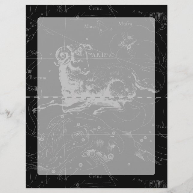 Aries Constellation Hevelius Vintage on Black (Framsida)