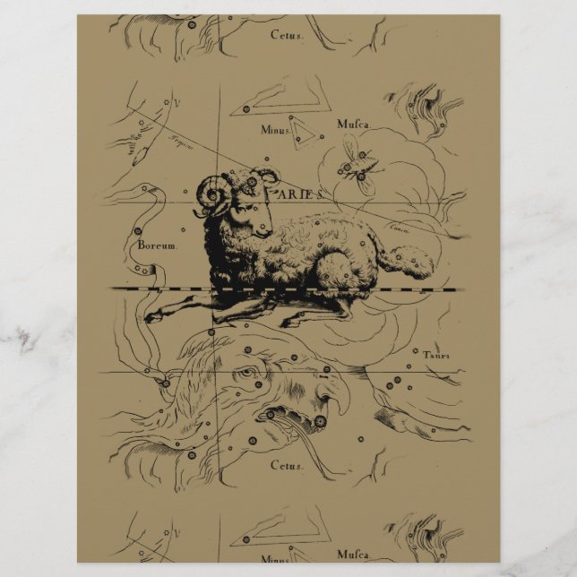 Aries Constellation Karta Hevelius 1690 (Framsida)