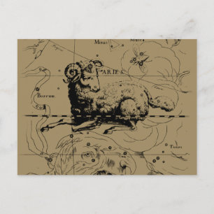 Aries Constellation Karta Hevelius 1690 Vykort