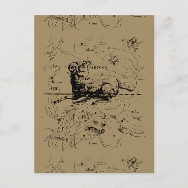 Aries Constellation Karta Hevelius 1690 Vykort (Framsida)