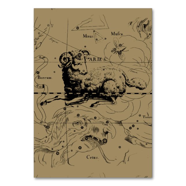 Aries Constellation Karta Hevelius circa 1690 Bordsnummer (Framsidan)