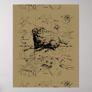 Aries Constellation Karta Hevelius circa 1690 Poster