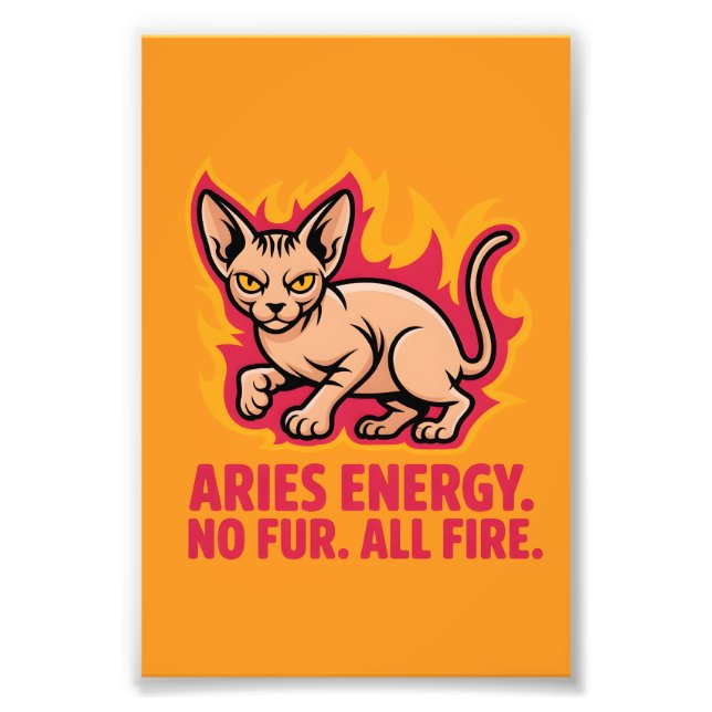 Aries Energy Sphynx Cat Fire Illustration Fototryck (Framsidan)