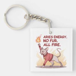 Aries Energy Sphynx Cat No Fur All Fire Art