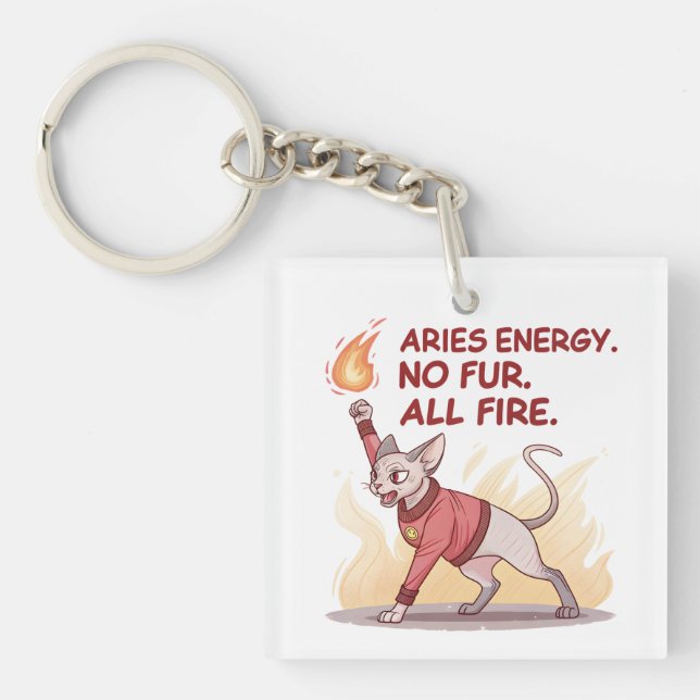 Aries Energy Sphynx Cat No Fur All Fire Art (Framsidan)