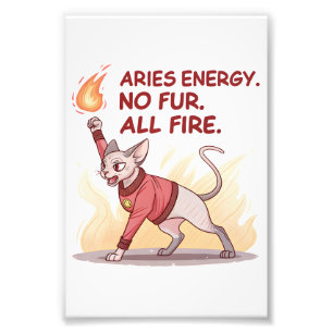 Aries Energy Sphynx Katt Utan Päls Allt Eld Konst Fototryck