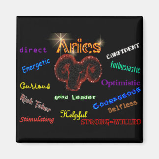 ARIES Magnet
