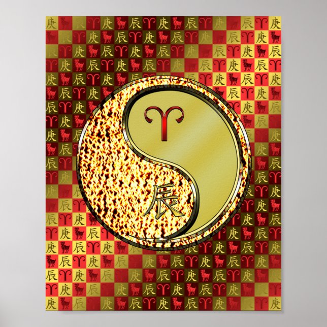 Aries & Metall Dragon Poster (Framsidan)